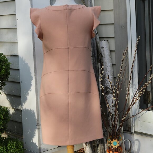 Ann Taylor Blush Knit Flutter Cap Sleeve Seamed Knit Crepe Sheath Dress Sz 6 - Picture 7 of 9